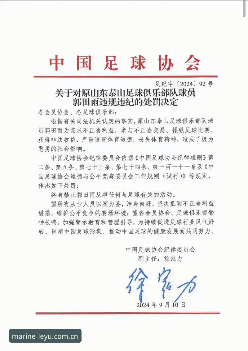 leyu体育赛事直播 3大警示维度解读足协第三批禁足名单:65人受罚背后的足球生态重构