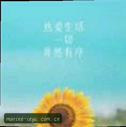 王芳